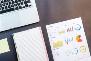 Tax investigation and Tax consultant service